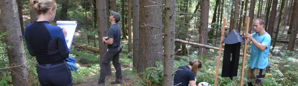 Ugotavljanje učinkovitosti izvajanja gozdnega reda za preprečevanje prenamnožitev smrekovih podlubnikov 